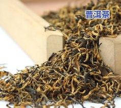 茶叶都是芽尖更好吗？高清图片大全解析，全芽等级茶叶品质探究