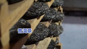 普洱茶昵称大全：简约大气又优雅的名字集合