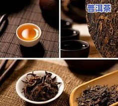 普洱茶昵称大全：简约大气又优雅的名字集合