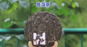 如何将一块的普洱茶弄碎？看图解教程！