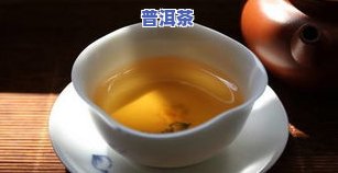 走进普洱茶-走进普洱茶的感受