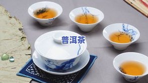 哪款水适合冲泡普洱茶叶？了解最适合泡普洱茶的水质