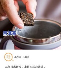 普洱茶饼：功效、冲泡方法与禁忌全解析