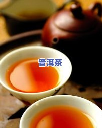 普洱茶能冲泡多少次？次数作用口感与营养