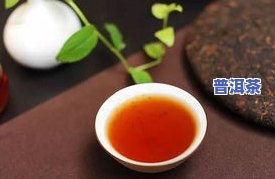 清香普洱茶：品味茶叶的自然清新与独特韵味