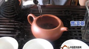 小青柑普洱茶用什么茶具泡更佳？