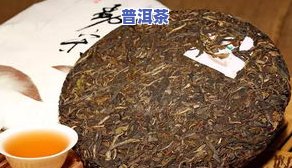 普洱茶长出的菌：种类、作用与解决方法