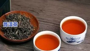 普洱茶带菌-普洱茶里的菌都有哪些