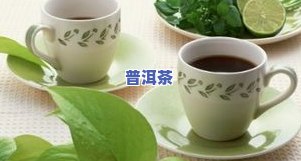 茶叶泡一晚上第二天还能喝吗？茶叶更佳冲泡时间和次数，过夜茶是否能饮用？