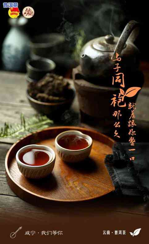 福字普洱茶：20年老茶，多少钱一饼？看图熟悉