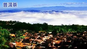 思茅地区普洱茶的特点及产区介绍