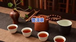 普洱茶为什么不好喝？也许你的冲泡量或方式不对。