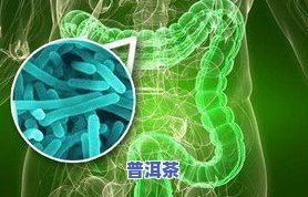 普洱茶茶醉的症状、处理方法及与身体健康的关系