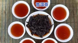 东顺号普洱茶：旗下专供与普洱茶叶价格一览