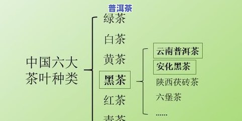 普洱茶评审方法详解：步骤、流程与标准