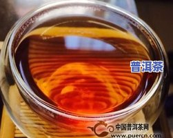 倚邦普洱茶是高端茶吗？探讨其品质与价值