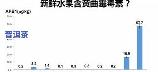 普洱茶属于木本植物吗？探究其科学依据与分类归属