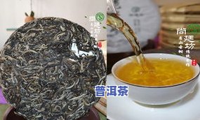 冰点普洱茶茶种：普洱茶冰种全解析，了解普洱冰种茶叶与茶饼价格