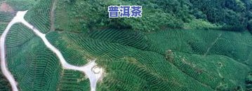 黔西南名茶：揭秘最古老茶村与当地特色茶叶