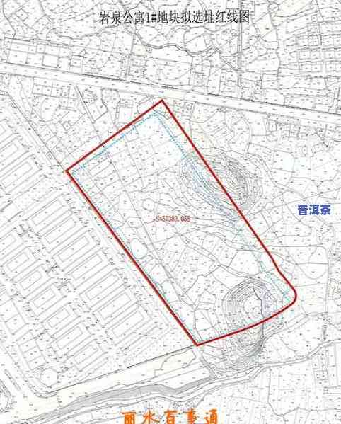 浙江省丽水市茶叶场：位置、地址与产品一览