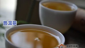 怎么叫好普洱茶？从图片、视频看如何判断普洱茶品质