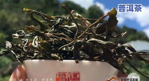 昌乐普洱茶教学-普昌普洱茶