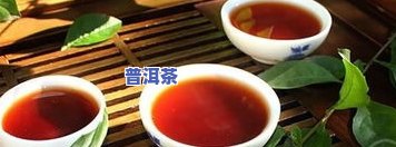 普洱茶哪种味道特别好：口感、香气与口味全面解析