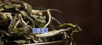 白茶普洱茶存放-普洱白茶保存方法