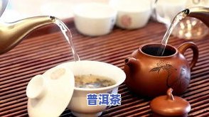 普洱茶新茶的泡法和时间视频教程：详细讲解冲泡步骤与技巧