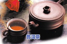 普洱茶新茶的泡法和时间视频教程：详细讲解冲泡步骤与技巧