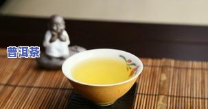 7581普洱茶，品味历史韵味：7581普洱茶的魅力探究