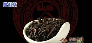 普洱茶武夷：武夷山岩茶与碧螺春的比较