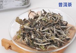 孕妇可以喝淡茶水吗？白茶、晚期适宜饮用，揭秘十大适合产妇的茶