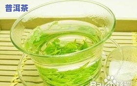 怀孕能喝茉莉茶叶吗-怀孕能喝茉莉茶叶吗早期