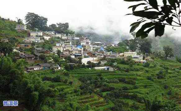 勐库大忠山普洱茶价格表-勐库大忠山都是古树茶吗