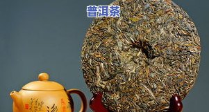 普洱茶：揭示其性与致死原因