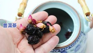 什么茶壶最适合泡普洱茶-什么茶壶最适合泡普洱茶喝