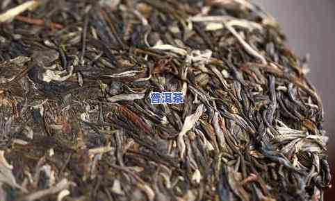 普洱茶口粮茶叶-普洱茶口粮茶叶图片