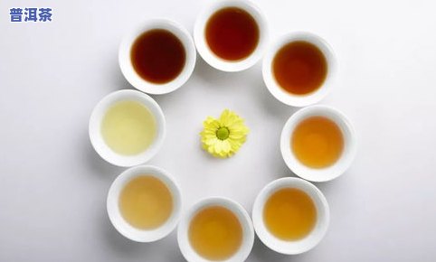 立冬喝普洱茶：生茶与熟茶哪个更适合？