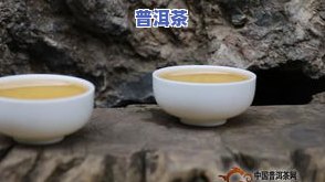 云南曲靖有普洱茶吗？现在价格多少？