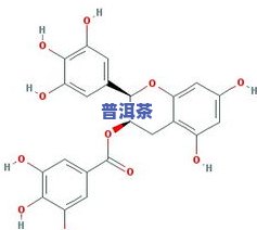 茶叶中的脂溶性色素：种类、物质及作用探析