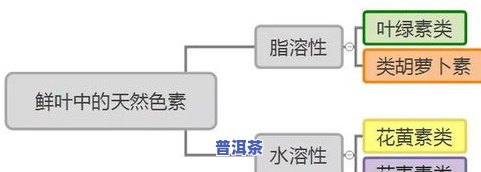 茶叶脂溶性色素主要有哪些？探究茶叶中脂溶性色素的种类与特性