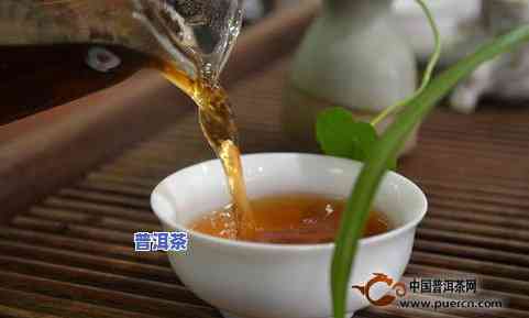 普洱茶用什么水冲泡更佳？影响口感的关键因素解析