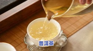 普洱茶保存出油怎么办？正确解决方法与好处解析