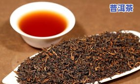 红印普洱茶价格是多少？最新2010年行情，每斤售价多少？