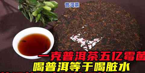 普洱茶能放茉莉吗？多少克更好？