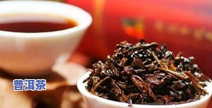 全面解析：古树普洱茶熟茶的功效与作用及其禁忌