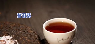 普洱茶另类说法大全：特点、及详细介绍