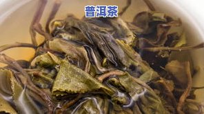 普洱茶别称全揭秘：金珠柳只是其中之一？