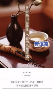 柏木林普洱茶，探索柏木林普洱茶的魅力：一种特别的茶叶体验